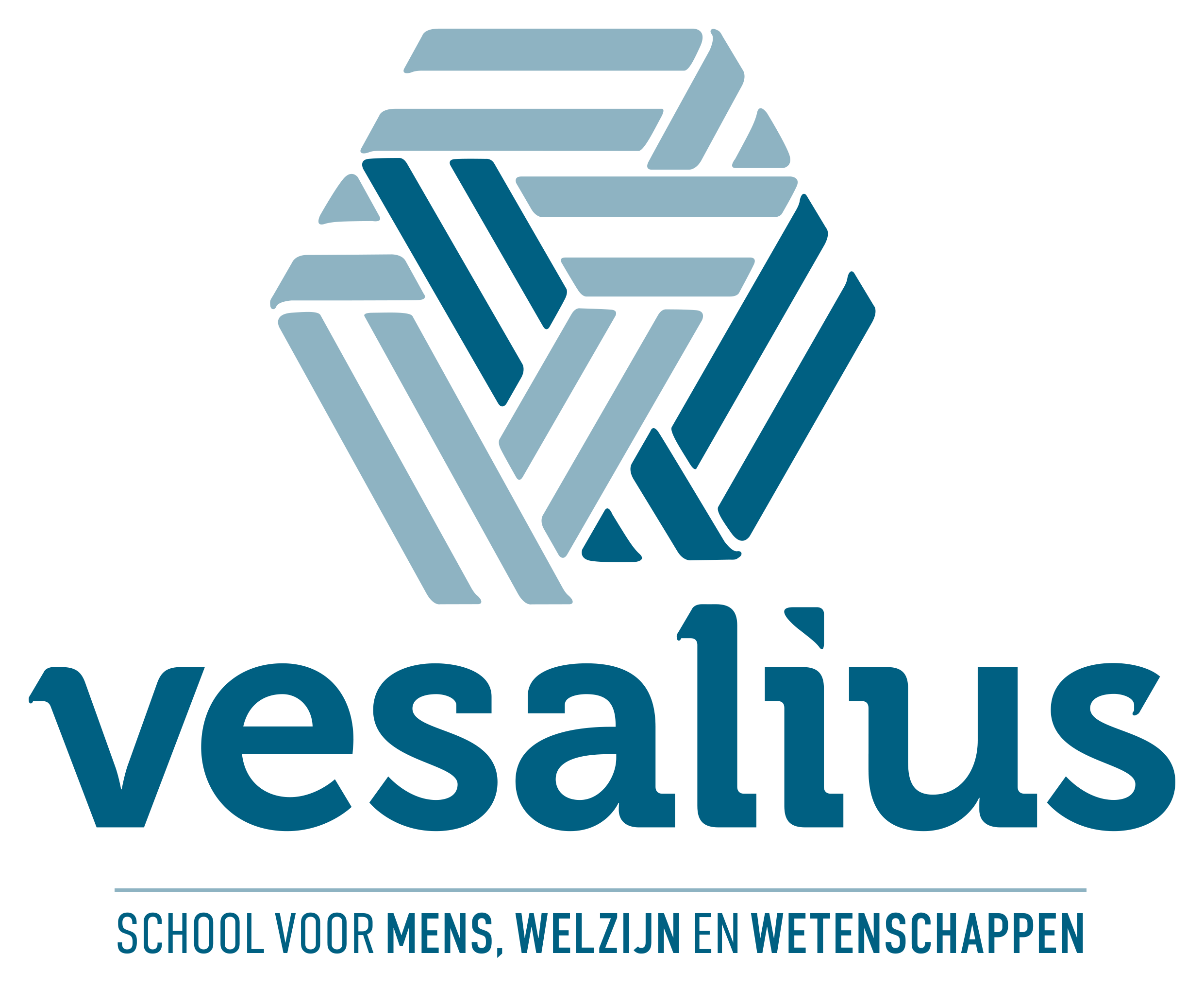 Logo Vesaliusinstituut