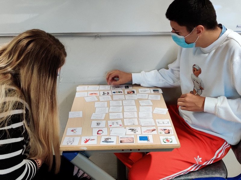 2020-09-09 5VZ stage voorbereiden -5- b.jpg