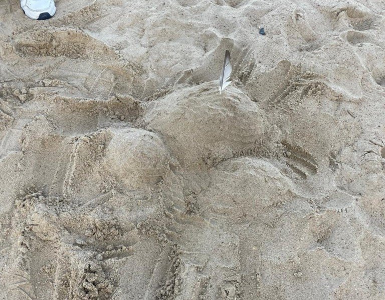 2022-10-28 5VZ TB -4-.jpeg