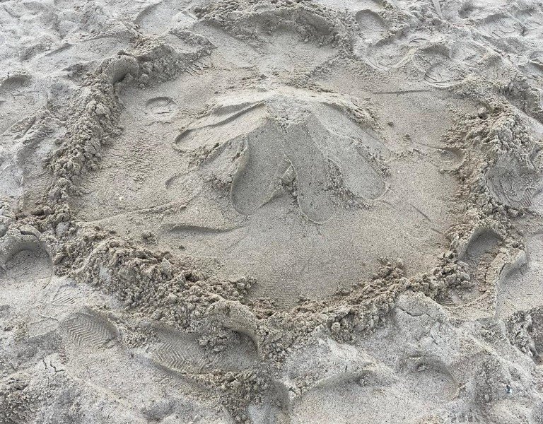 2022-10-28 5VZ TB -5-.jpeg