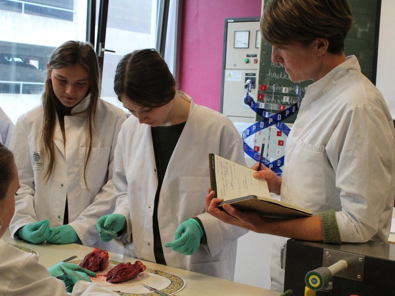 2022-11-07 5GW dissectie hart -10-.JPG