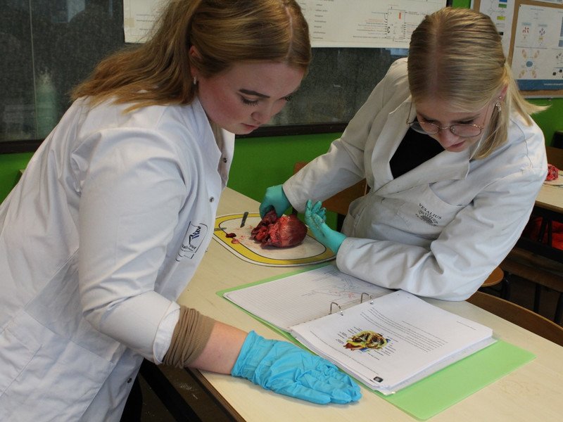 2022-11-07 5GW dissectie hart -16-.JPG