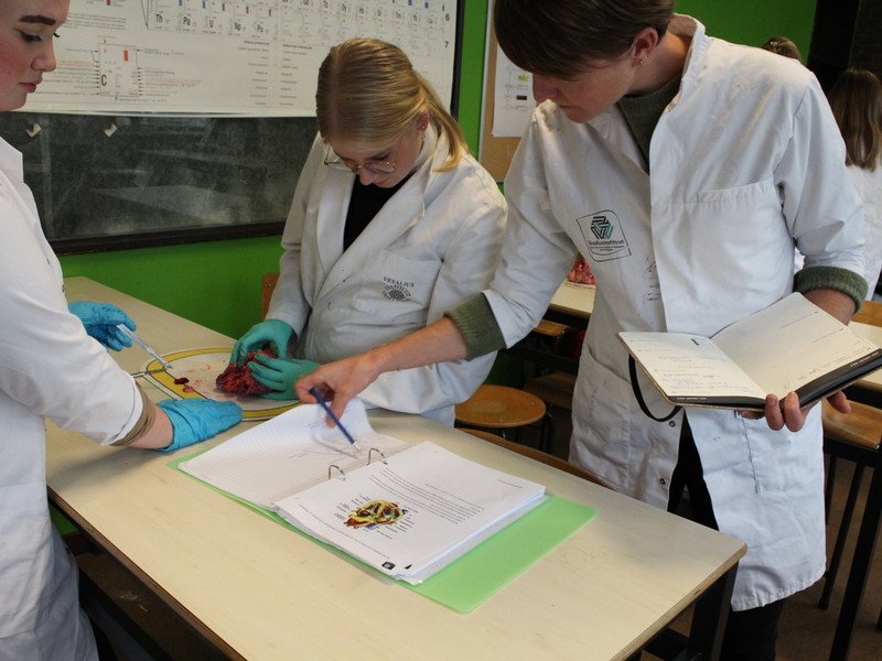 2022-11-07 5GW dissectie hart -17-.JPG