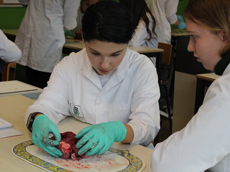 2022-11-07 5GW dissectie hart -24-.JPG