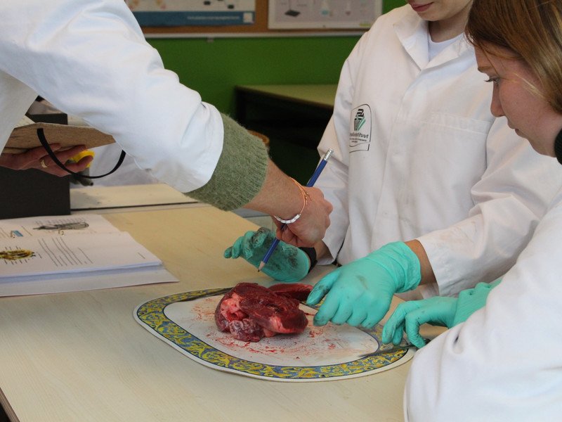 2022-11-07 5GW dissectie hart -28-.JPG