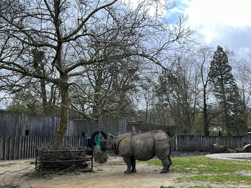 Eerstes - GWP -15-.jpeg