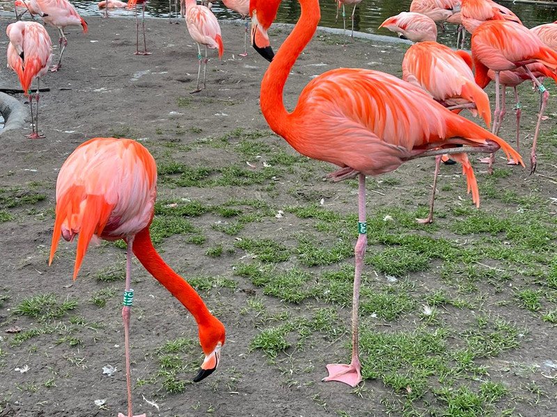 Eerstes - GWP -23-.jpeg