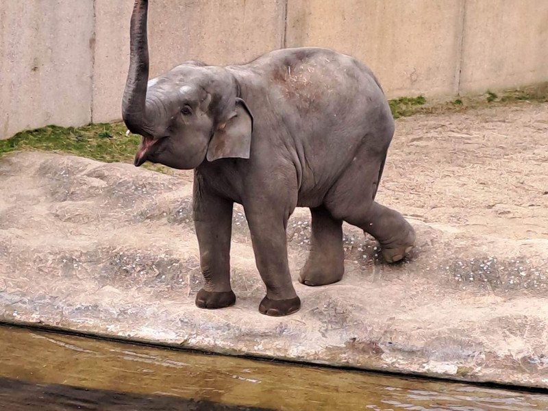 Eerstes - GWP -24-.jpeg