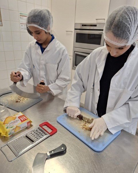 2024-10 6 Moderne talen - wetenschappen -8-.jpg