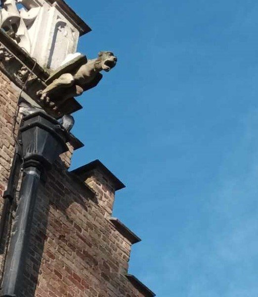 2024-10 TB 3 GOE -15-.jpg