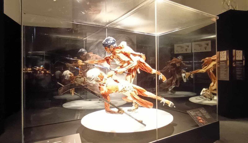 2024-10 TB 3 GOE -7-.jpg