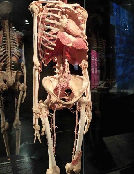 2024-10 TB 3 GOE -32-.jpg