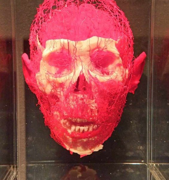 2024-10 TB 3 GOE -10-.jpg