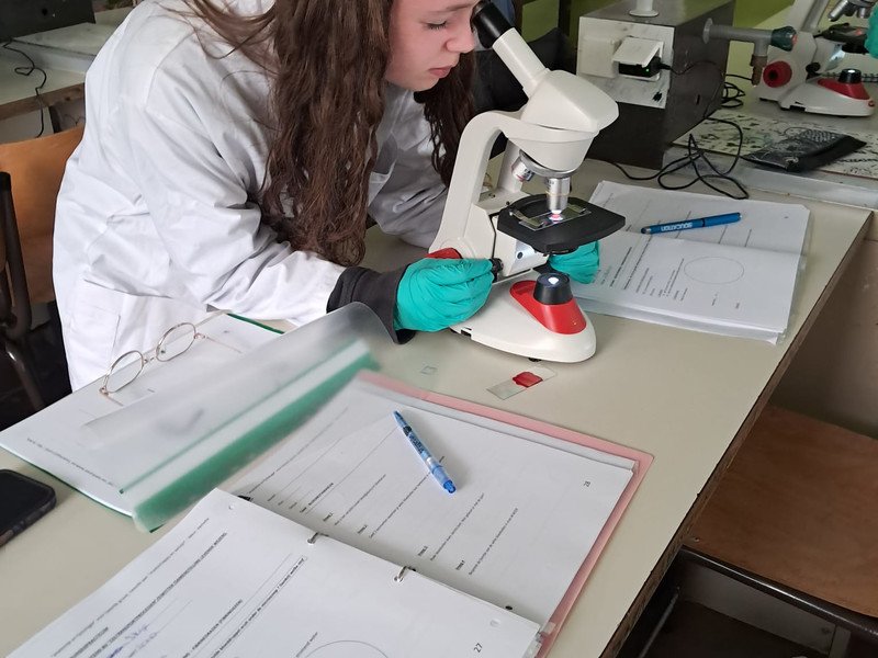 2025-04-28 4MW -6-.jpeg