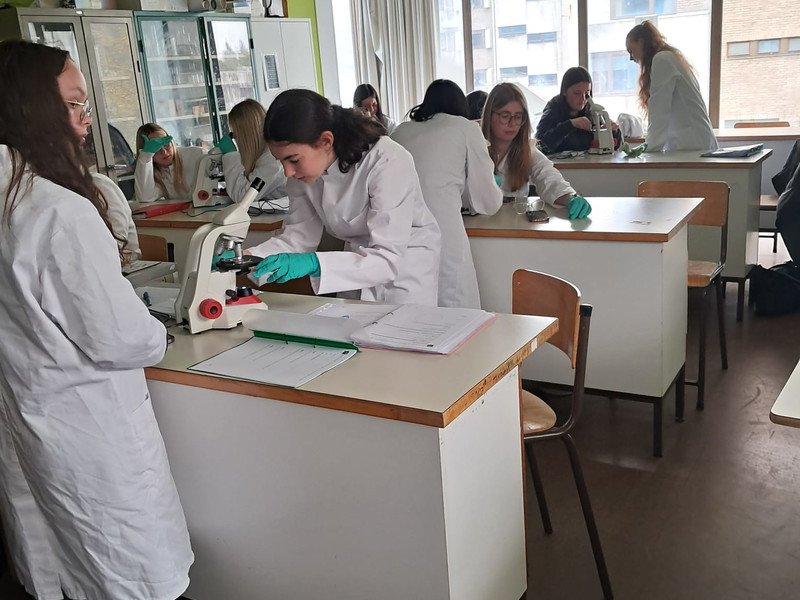 2025-04-28 4MW -5-.jpeg