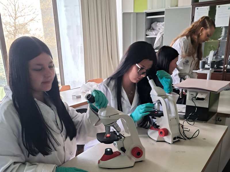 2025-04-28 4MW -3-.jpeg