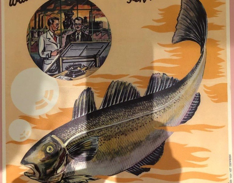 2025-03 7 Animator in de ouderenzorg -4-.jpg