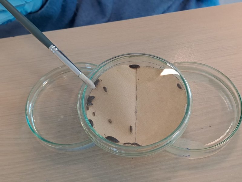 2025-05 2 Spectrum A-stroom -7-.jpg