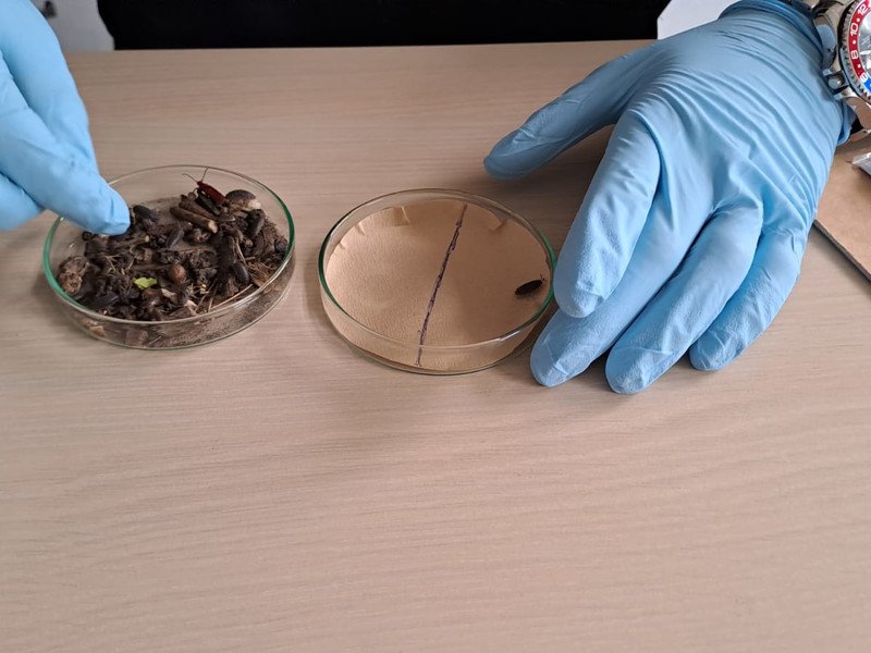 2025-05 2 Spectrum A-stroom -8-.jpg