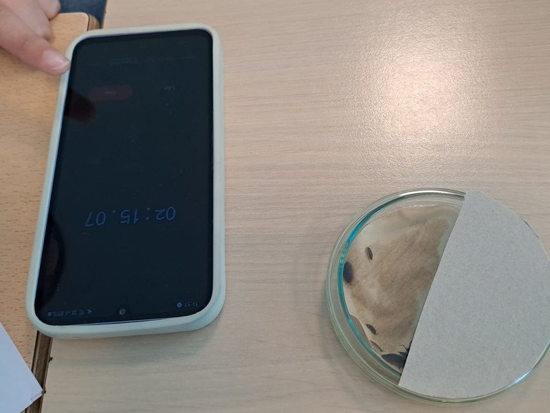 2025-05 2 Spectrum A-stroom -5-.jpg