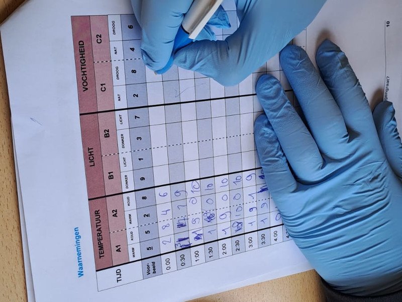 2025-05 2 Spectrum A-stroom -6-.jpg