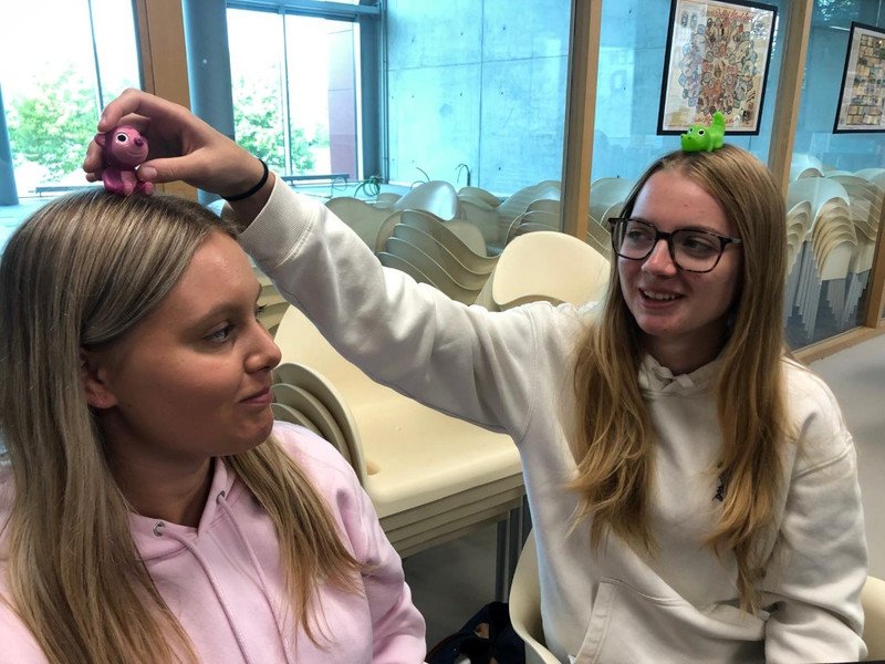 2025-09-23 7KB spellenarchief -15-.jpg