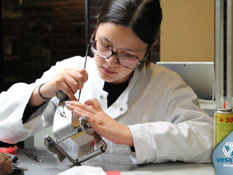 2025-09-25 7DS Candulor -2- -1-.jpg