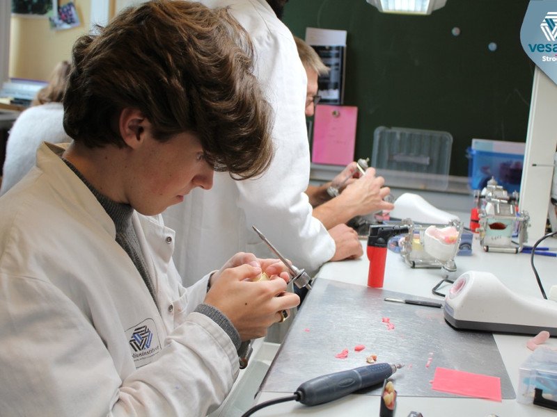 2025-09-25 7DS Candulor -2-.jpg