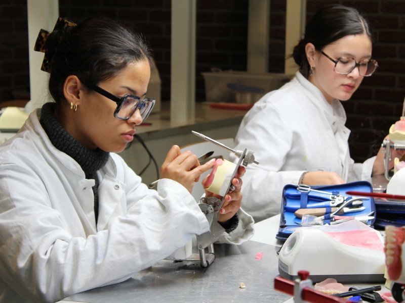 2025-09-25 7DS Candulor -11-.JPG