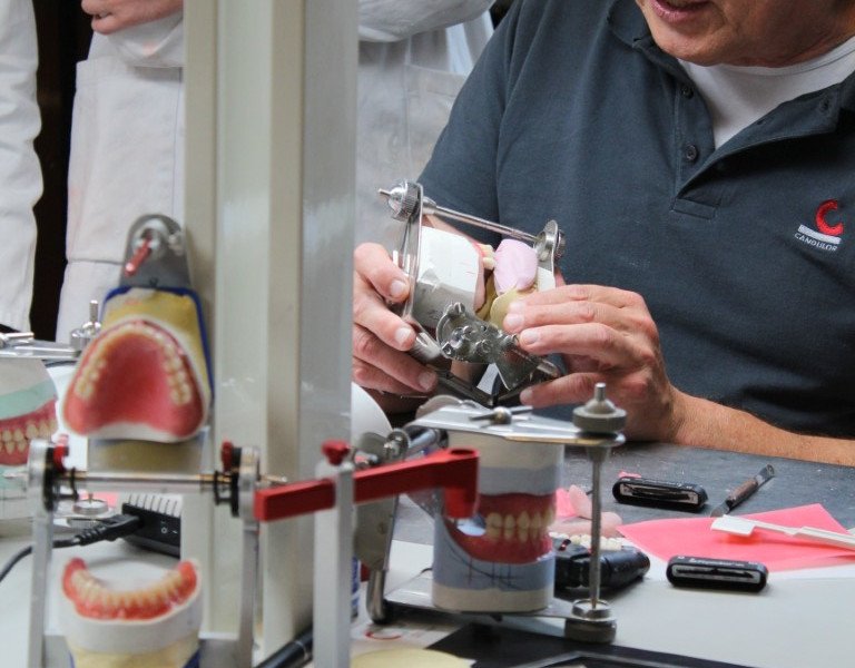 2025-09-25 7DS Candulor -6-.JPG