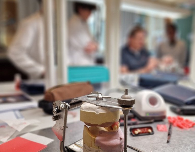 2025-09-25 7DS Candulor -9-.jpg