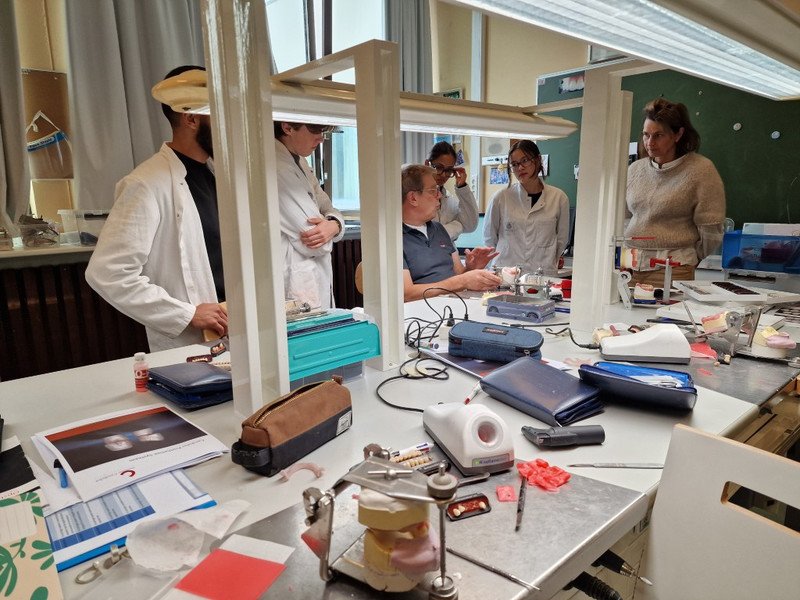 2025-09-25 7DS Candulor -1-.jpg