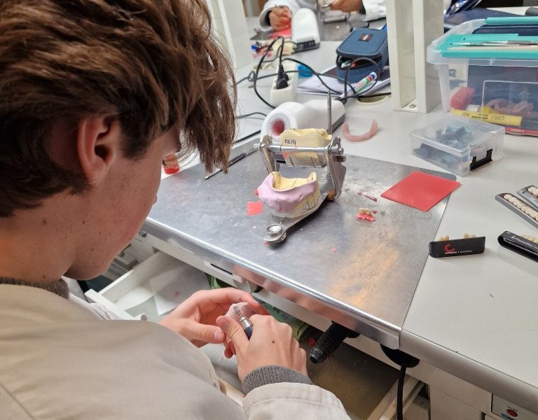 2025-09-25 7DS Candulor -14-.jpg