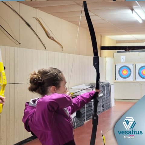 1 2025-11-06 6 Dubbele finaliteit Vesalius