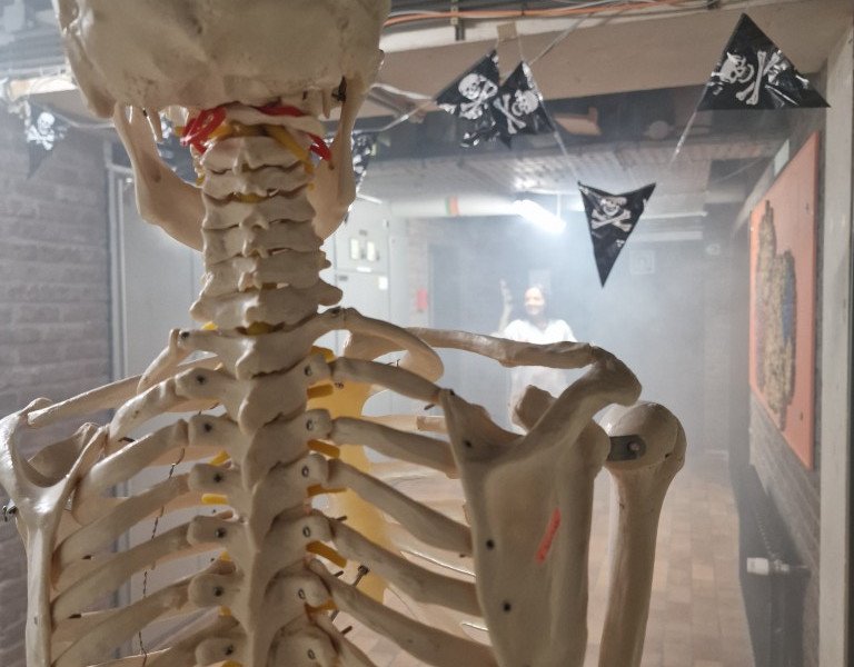 2025-11-07 ORT Vesalius -11-.jpg