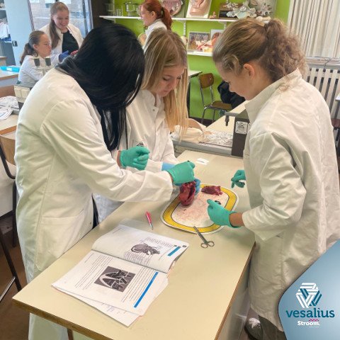 2025-11-17 5Gezondheidszorg