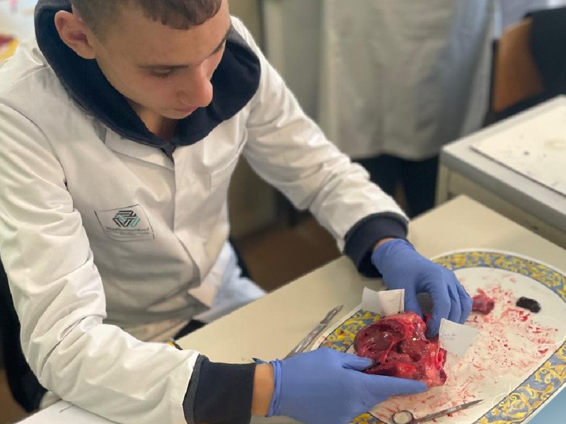 2025-11 5 Gezondheidszorg -1-.png