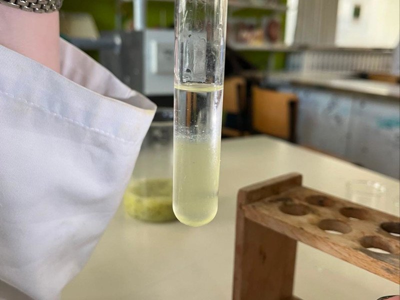 2025-11-19 5BCSW 5WW -4-.jpg