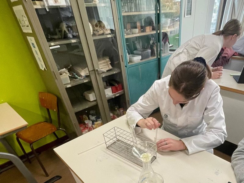 2025-11-19 5BCSW 5WW -8-.jpg