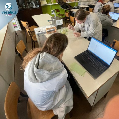 2025-11-19 5BCSW 5WW