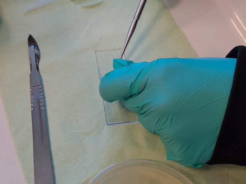 2025-11-23 2 Spectrum -7-.jpg