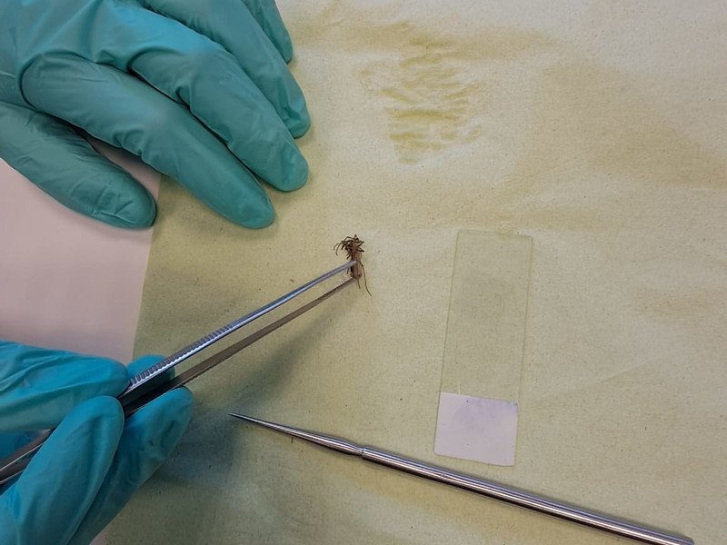 2025-11-23 2 Spectrum -6-.jpg