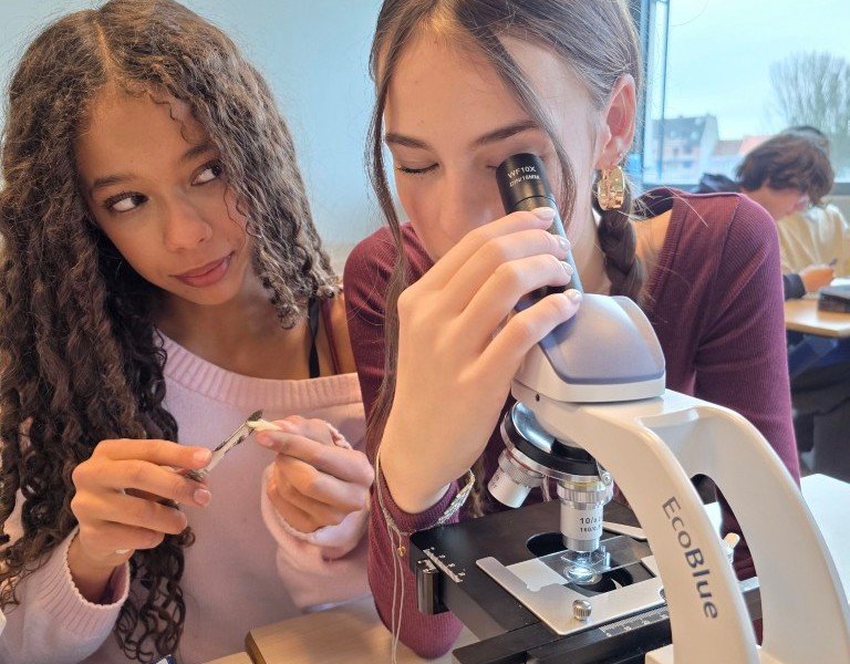 2026-01-28 2 Spectrum -2-.jpg