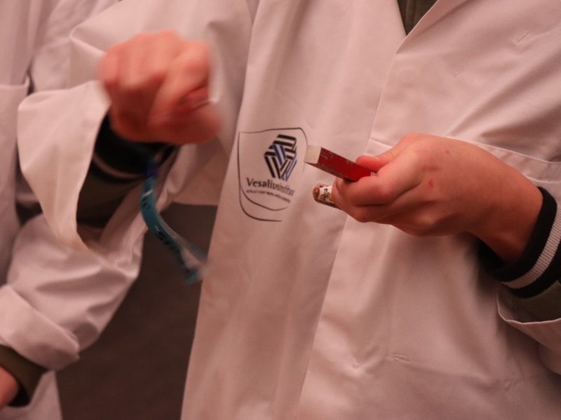 2026-01-28 Scholenbeurs Vesalius -29-.jpg