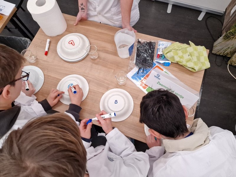 2026-01-28 Scholenbeurs Vesalius -16-.jpg