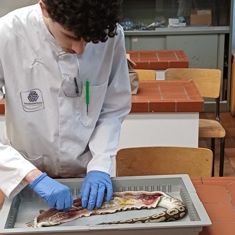 1 2026-01-29 jaarwerkdag 6des