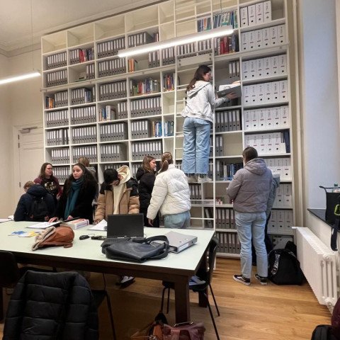 1 2026-02-10 6des Vesalius -1-.png