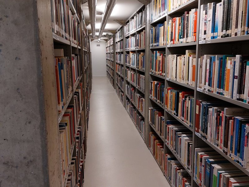 2026-02-10 6des Vesalius -4-.jpeg