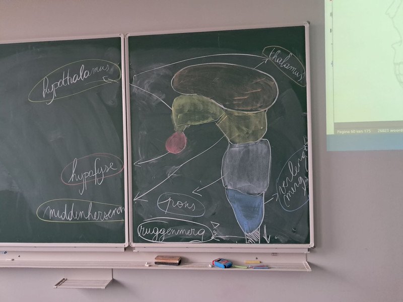 2026-02 3-4Maatschappij-welzijn -1-.jpeg