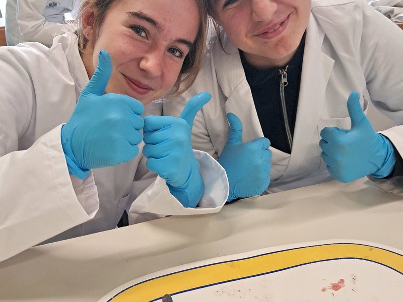 2026-02 3-4Maatschappij-welzijn -3-.jpeg